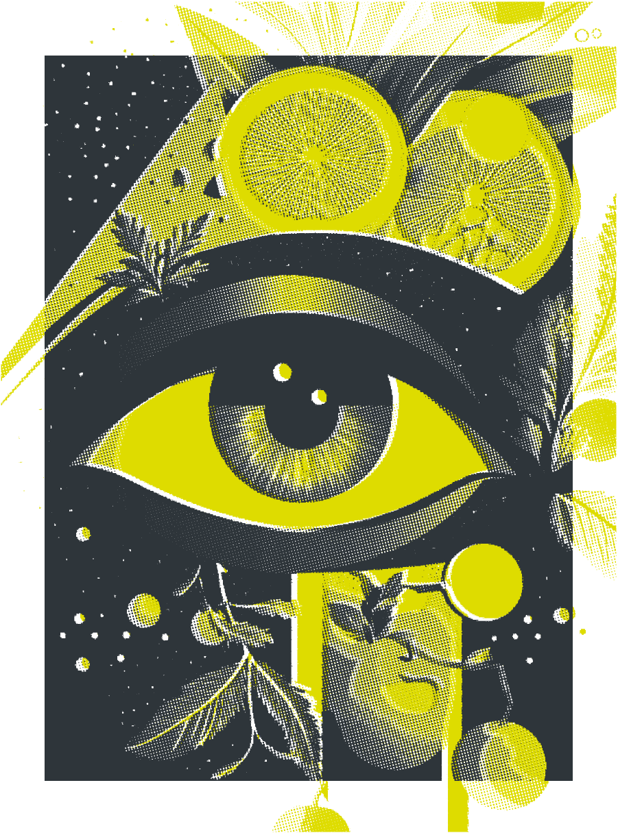 Ilustración vectorial de ojo humano color negro y amarillo representando a la nutrición y la vista