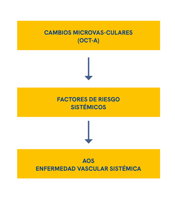 Discusión: la retina como espejo de la hipoxia intermitente